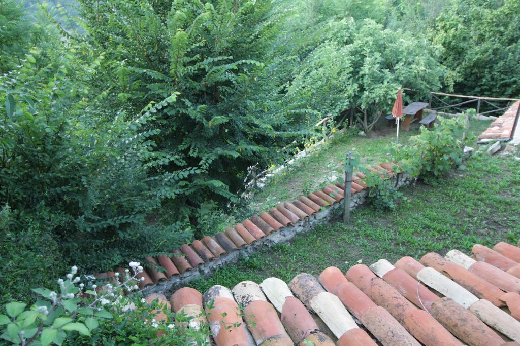 Casa Vacanze Antico Poggio Poggio San Giovanni Εξωτερικό φωτογραφία